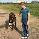  -,   , 33 ,   ,   , c 