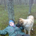  ,   Petrovic, 69 ,     , c 