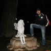  ,   Gamlet, 37 ,  