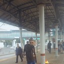 ���������� ���������� �����, ���� ������� ������, 43 ����, ������������ ��� ����� � ���������, c�������� ���������