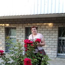 ���������� ����, ���� ������� �������, 65 ���, ������������ ��� ������, ����� � ���������, c�������� ���������