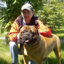 ���������� ������ ��������, ���� ������� ����, 43 ����, ������������ ��� ������, ����� � ���������, c�������� ���������