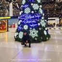 ���������� ����, ���� ������� ������, 45 ���, ������������ ��� ������, ����� � ���������, c�������� ���������, ���������