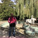  ,   , 19 ,   ,   , c 