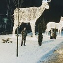 ���������� ������-��-����, ���� ������� ������, 35 ���, ������������ ��� ������, ����� � ���������