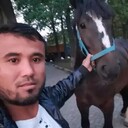 ���������� ��������, ���� ������� �����, 33 ����, ������������ ��� ������, ����� � ���������