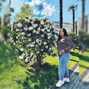 ���������� ���������, ���� ������� �����, 27 ���, ������������ ��� ������, ����� � ���������