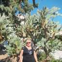 ���������� ��������, ���� ������� Larisa, 67 ���, ������������ ��� ������, ����� � ���������, c�������� ���������