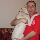 ���������� ������, ���� ������� Gevorg, 50 ���, ������������ ��� ������