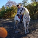 ���������� ������-��-����, ���� ������� ����, 28 ���, ������������ ��� ������, ����� � ���������