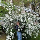 ���������� ����, ���� ������� �����, 66 ���, ������������ ��� ����� � ���������, c�������� ���������