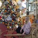 ���������� �����, ���� ������� ��������, 29 ���, ������������ 