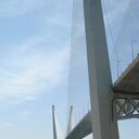 ���������� ���������, ���� ������� �����, 48 ���, ������������ ��� ����� � ���������, c�������� ���������, ���������