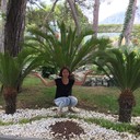  ,   , 38 ,   ,   , c 