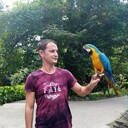 ���������� �����, ���� ������� �������, 39 ���, ������������ ��� ����� � ���������, c�������� ���������