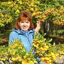  ,   , 64 ,     , c 