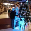 ���������� ���������������, ���� ������� ����, 102 ����, ������������ ��� ������, ����� � ���������, c�������� ���������, ���������