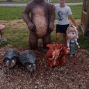 ���������� ������� �����, ���� ������� ����, 43 ����, ������������ ��� ������, ����� � ���������, c�������� ���������, ���������