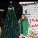 ���������� �������, ���� ������� �����, 33 ����, ������������ ��� ����� � ���������, ���������