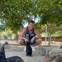 ���������� �����������, ���� ������� �������, 29 ���, ������������ ��� ������, ����� � ���������