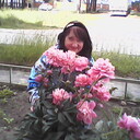  ,   , 66 ,   ,   