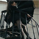 ���������� �����-���������, ���� ������� ���������, 25 ���, ������������ ��� c�������� ���������