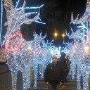 ���������� ������, ���� ������� �������, 41 ���, ������������ ��� ������, ����� � ���������, c�������� ���������