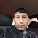 ���������� ����������, ���� ������� Peto, 32 ����, ������������ ��� ������