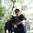  ,   , 51 ,   