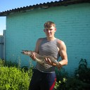 ���������� �����������, ���� ������� �������, 31 ���, ������������ ��� ������