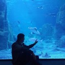 ���������� ������-��-����, ���� ������� �����, 40 ���, ������������ ��� ������, ����� � ���������