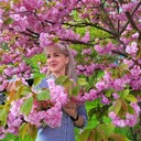  Kassel,   , 45 ,   c 