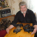  ,   , 65 ,   