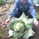 ���������� �������, ���� ������� �����, 55 ���, ������������ ��� ������, ����� � ���������, c�������� ���������