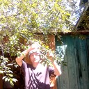  ,   , 46 ,     , c 