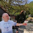 ���������� �����, ���� ������� �������, 44 ����, ������������ ��� ������