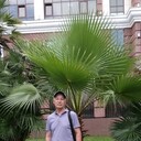   ,   , 65 ,   