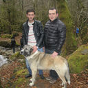 ���������� �������, ���� ������� Mishka, 35 ���, ������������ ��� ������