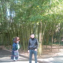 ���������� ������, ���� ������� �������, 36 ���, ������������ ��� ������, ����� � ���������, c�������� ���������