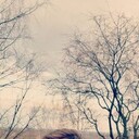 ���������� �����, ���� ����� ������, 24 ����, ������������ ��� ����� � ���������, c�������� ���������