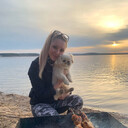 ���������� �����, ���� ������� ���������, 28 ���, ������������ ��� ������, ����� � ���������, c�������� ���������