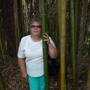 ���������� ���������, ���� ������� �������, 67 ���, ������������ ��� ������, ����� � ���������, c�������� ���������