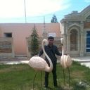 ���������� ��������, ���� ������� �����, 40 ���, ������������ ��� ������