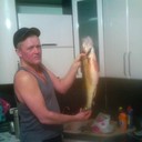   ,    , 53 ,   ,   , c 