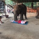 ���������� �����, ���� ������� ���������, 42 ����, ������������ ��� ������, ����� � ���������, c�������� ���������