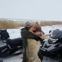 ���������� ���������� �����, ���� ������� �����, 43 ����, ������������ ��� ������, ����� � ���������, c�������� ���������