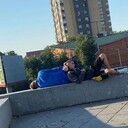 ���������� ������-��-����, ���� ����� David, 25 ���, ������������ ��� ������, ����� � ���������