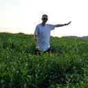 ���������� ������, ���� ������� ������, 32 ����, ������������ ��� ������, ����� � ���������