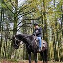 ���������� ������, ���� ������� �������, 40 ���, ������������ ��� ������, ����� � ���������