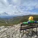 ���������� �����-���������, ���� ������� �AMO, 43 ����, ������������ ��� ������, ����� � ���������, c�������� ���������, ���������